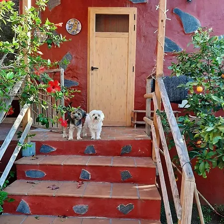 Studio With Sea View Enclosed Garden And Wifi At Balcon De * Telde