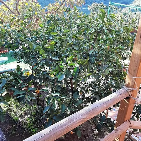 Studio With Sea View Enclosed Garden And Wifi At Balcon De *