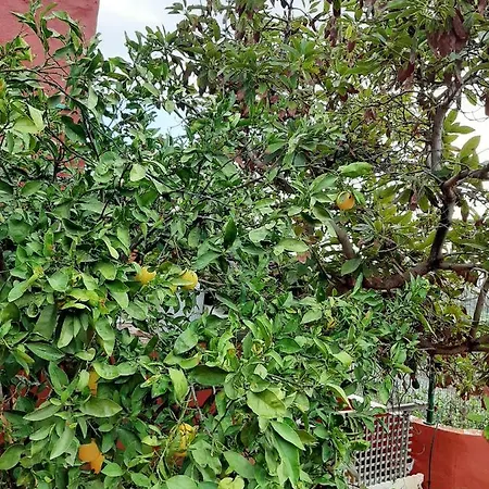Studio With Sea View Enclosed Garden And Wifi At Balcon De
